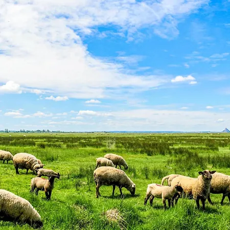 Gorgeous In Bricquebec-en-cotentin