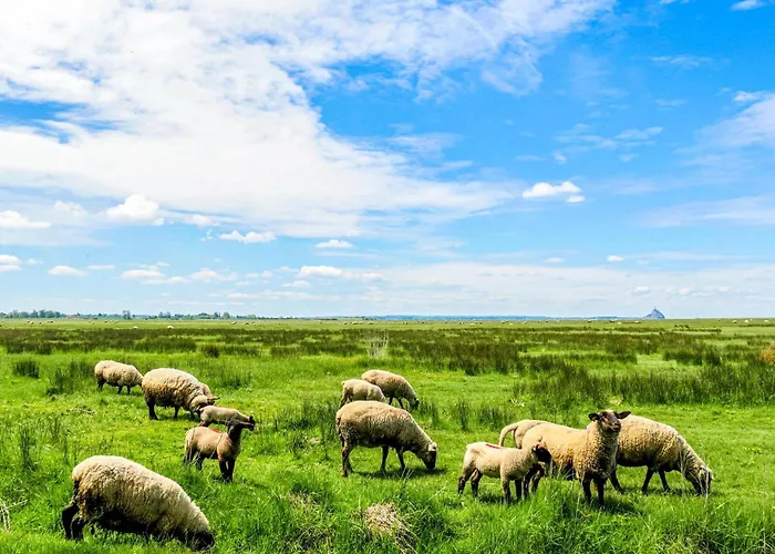 Gorgeous In Bricquebec-en-cotentin