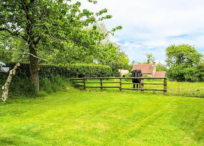 Holiday home Gorgeous In Bricquebec-en-cotentin
