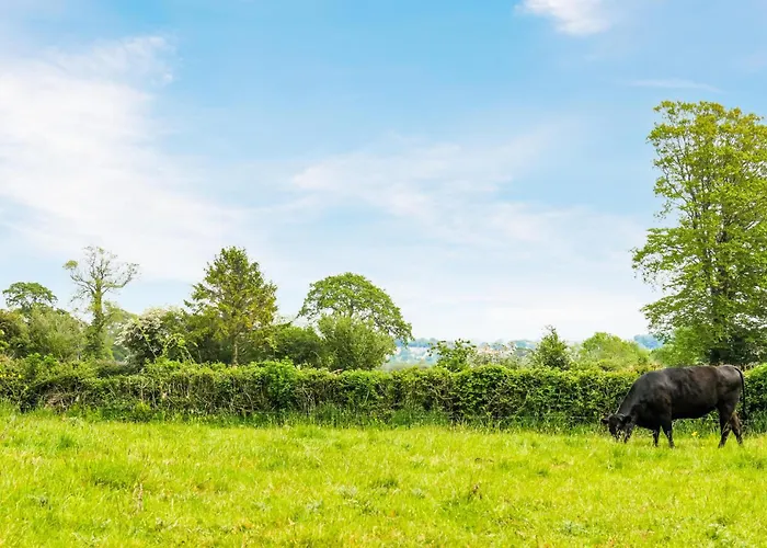 Gorgeous In Bricquebec-en-cotentin